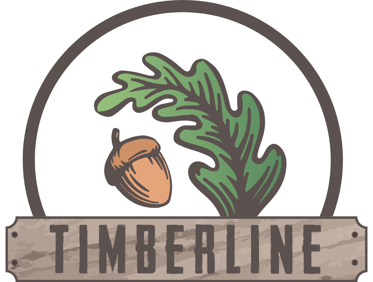 Timberline fűrésztelepi készletgazdálkodási rendszer fejlesztés
